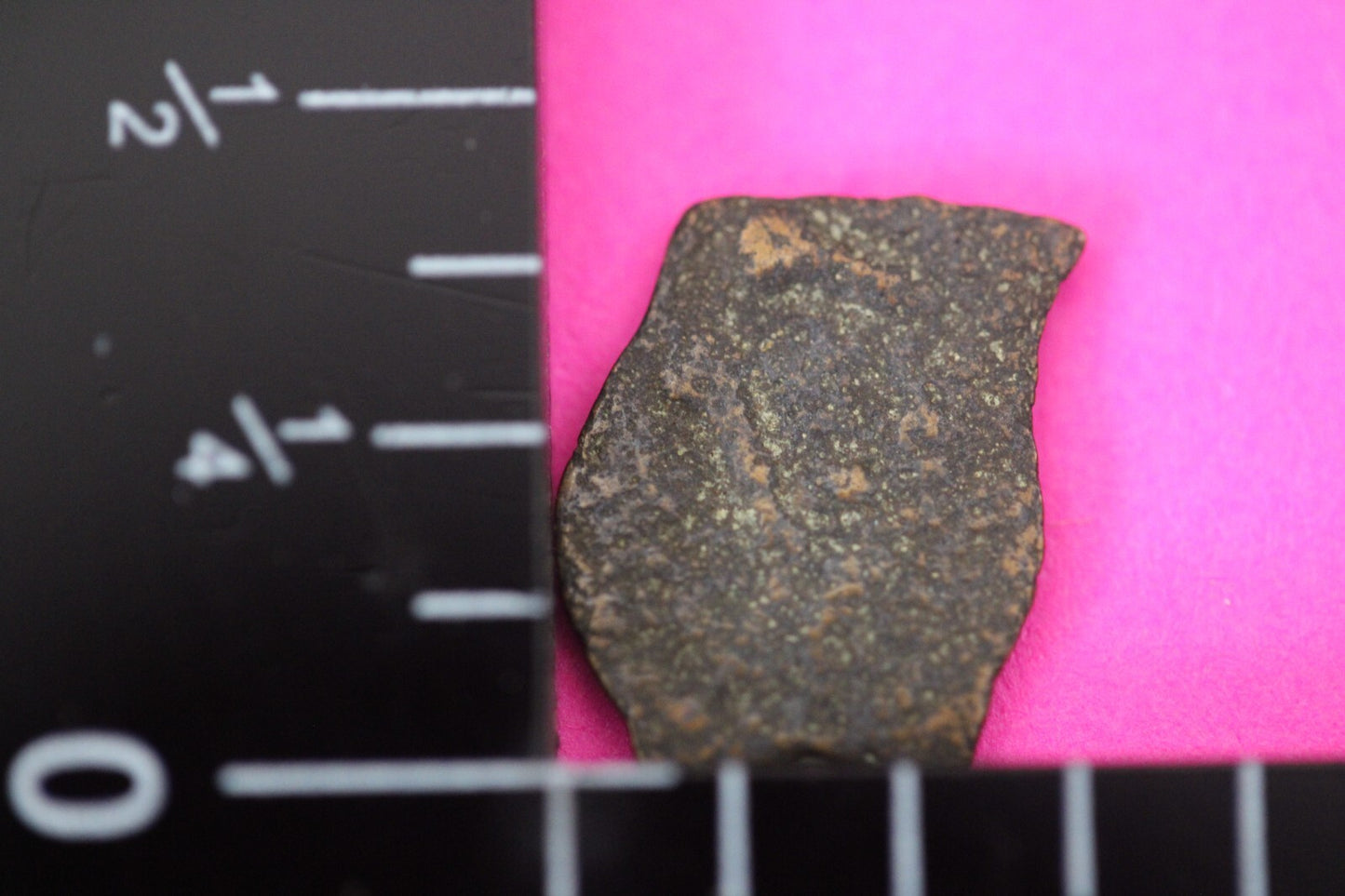 Widows Mite Coin Holy Land Artifact Jesus Christ Lifetime Free Display Frame 022