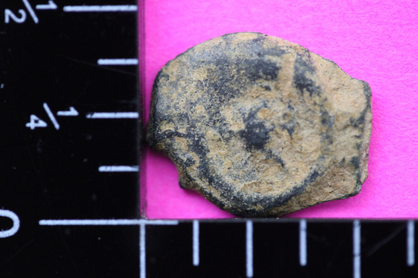 Widows Mite Coin Holy Land Artifact Free Display Frame Jesus Christ Lifetime 215