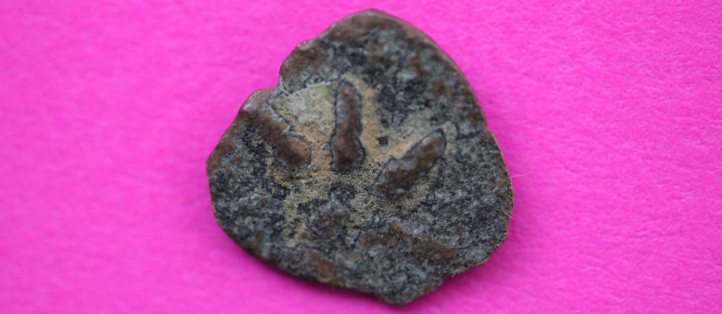 Widows Mite Coin Holy Land Artifact Free Display Frame Jesus Christ Lifetime 114