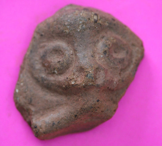 Puerto Rico Taino Pre Columbian Pottery Artifact FREE Display Case 1000AD COA 40