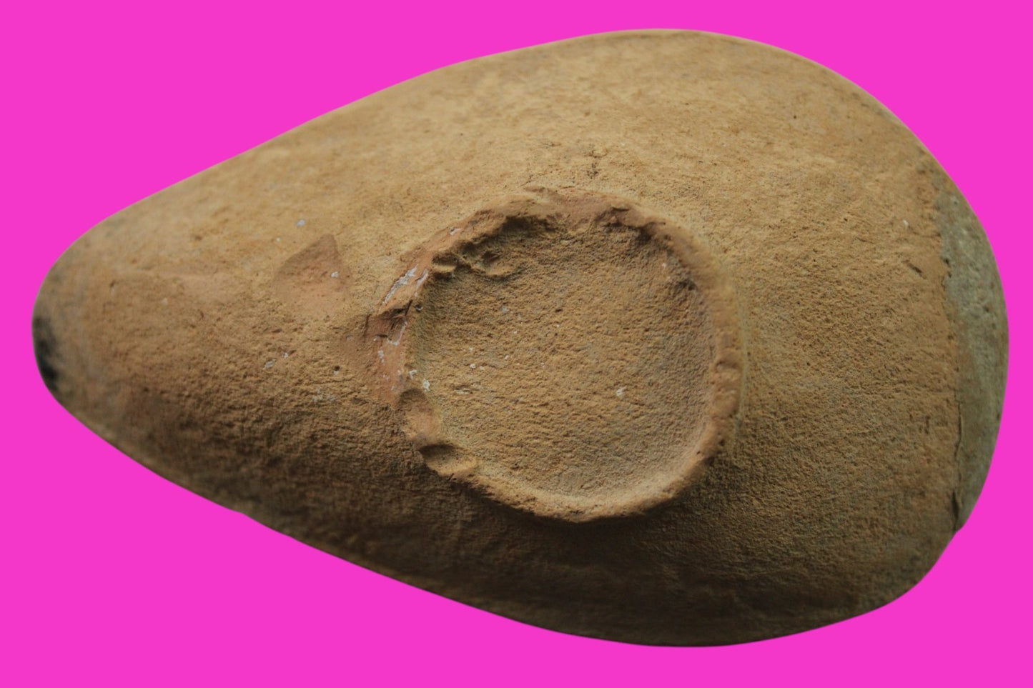 Ancient Holy Land Big Oil Lamp Artifact Home of Jesus Christ 200-500 AD COA J153