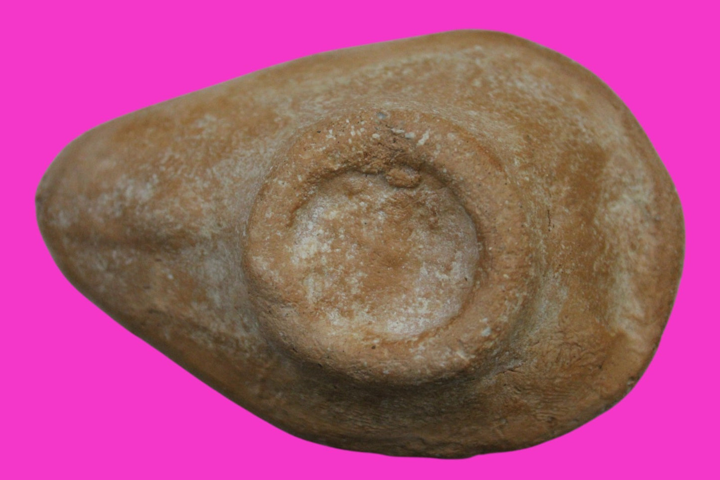 Ancient Holy Land Oil Lamp Artifact Jesus Christ Homeland 100 - 400 AD COA L07