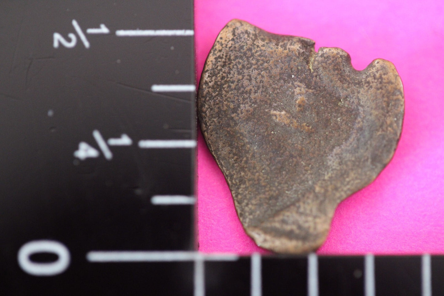 Widows Mite Coin Holy Land Artifact Jesus Christ Lifetime Free Display Frame 019