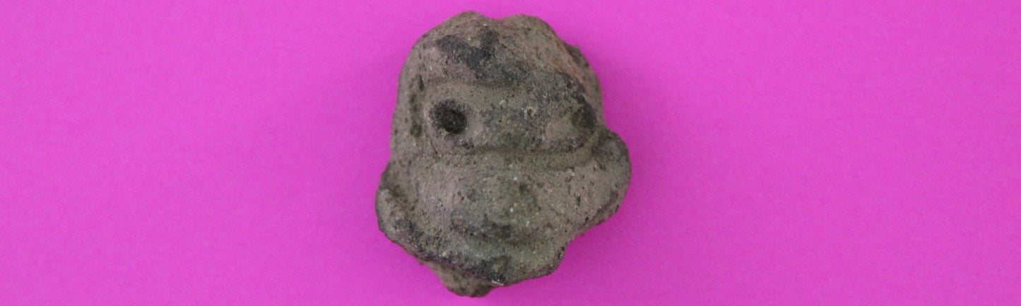 Puerto Rico Taino Pre Columbian Pottery Artifact FREE Display Case 1000AD COA 30