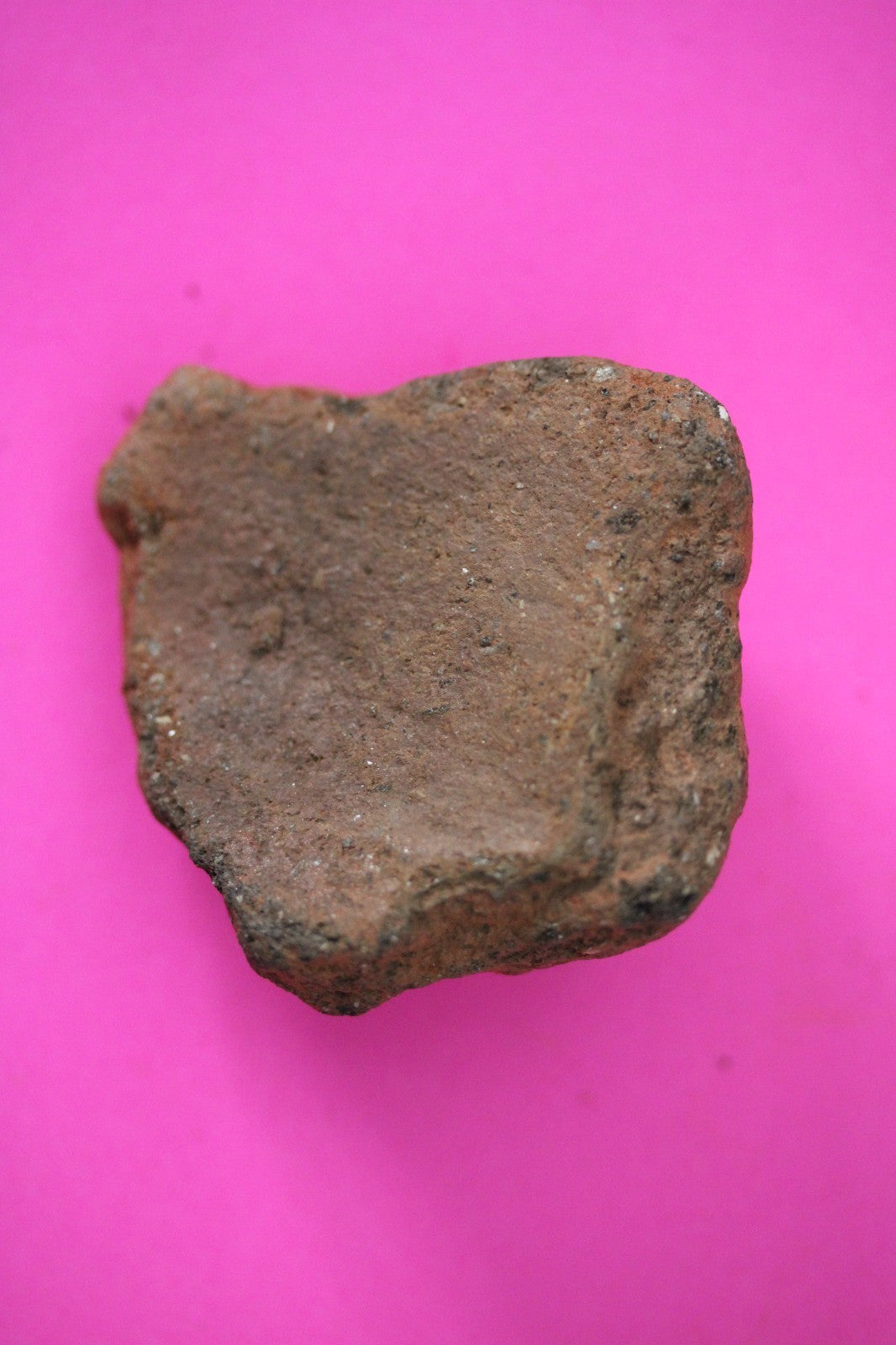 Puerto Rico Taino Pre Columbian Pottery Artifact FREE Display Case 1000AD COA 44