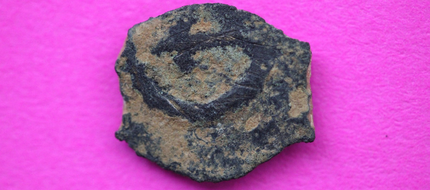 Widows Mite Coin Holy Land Artifact Free Display Frame Jesus Christ Lifetime 129