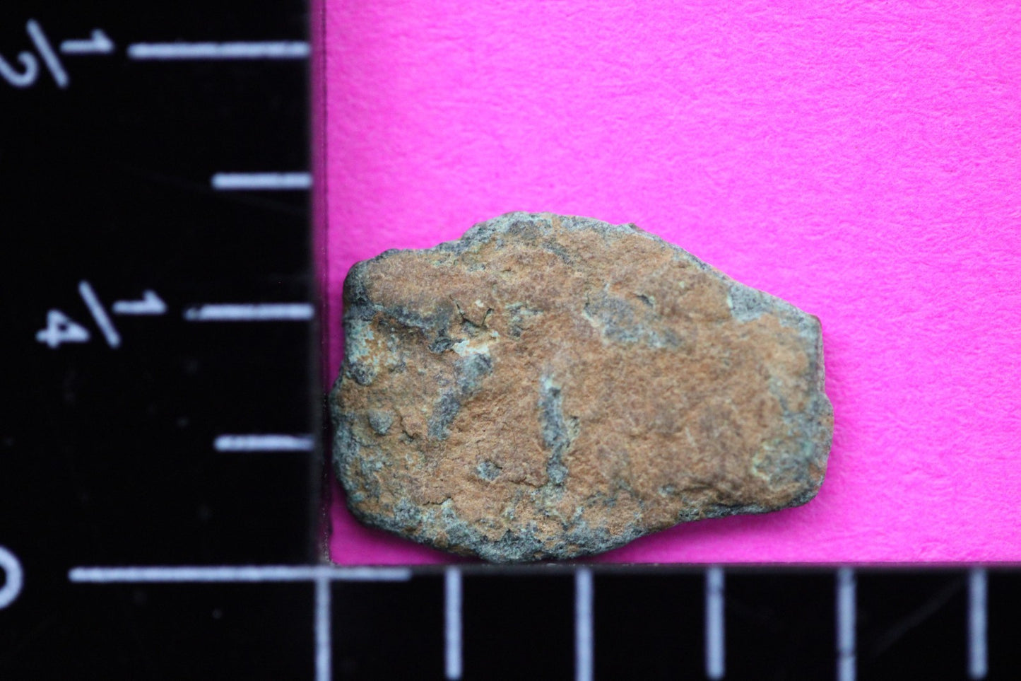 Widows Mite Coin Holy Land Artifact Free Display Frame Jesus Christ Lifetime 200