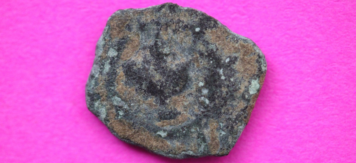 Widows Mite Coin Holy Land Artifact Free Display Frame Jesus Christ Lifetime 203