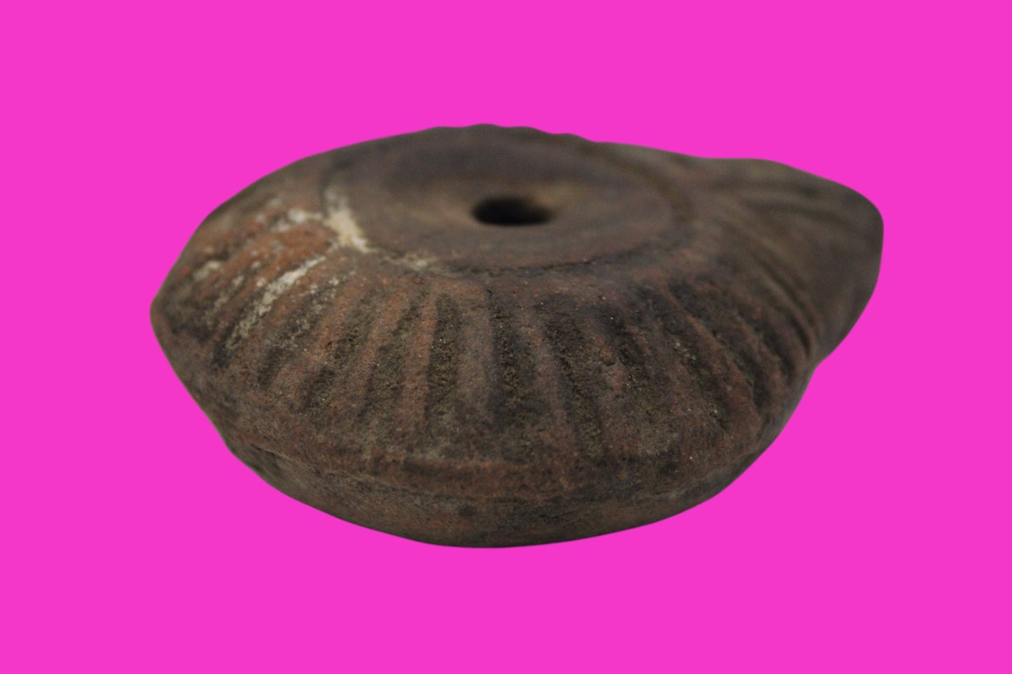 Ancient Holy Land Oil Lamp Artifact From Jesus Christ Home Land 100-500AD COA 60