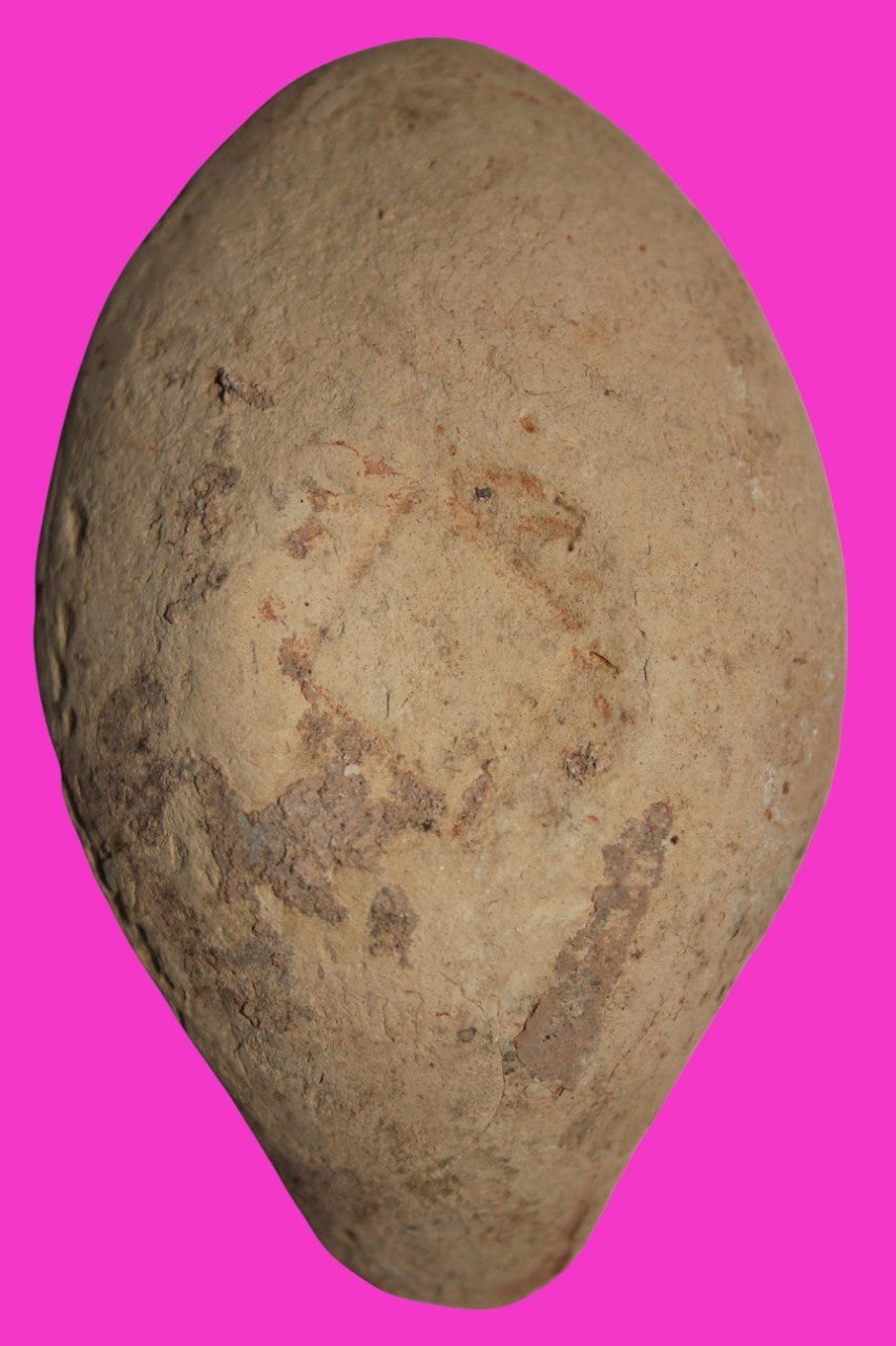 Ancient Holy Land Oil Lamp Artifact From Jesus Christ Homeland 400-500AD COA 28