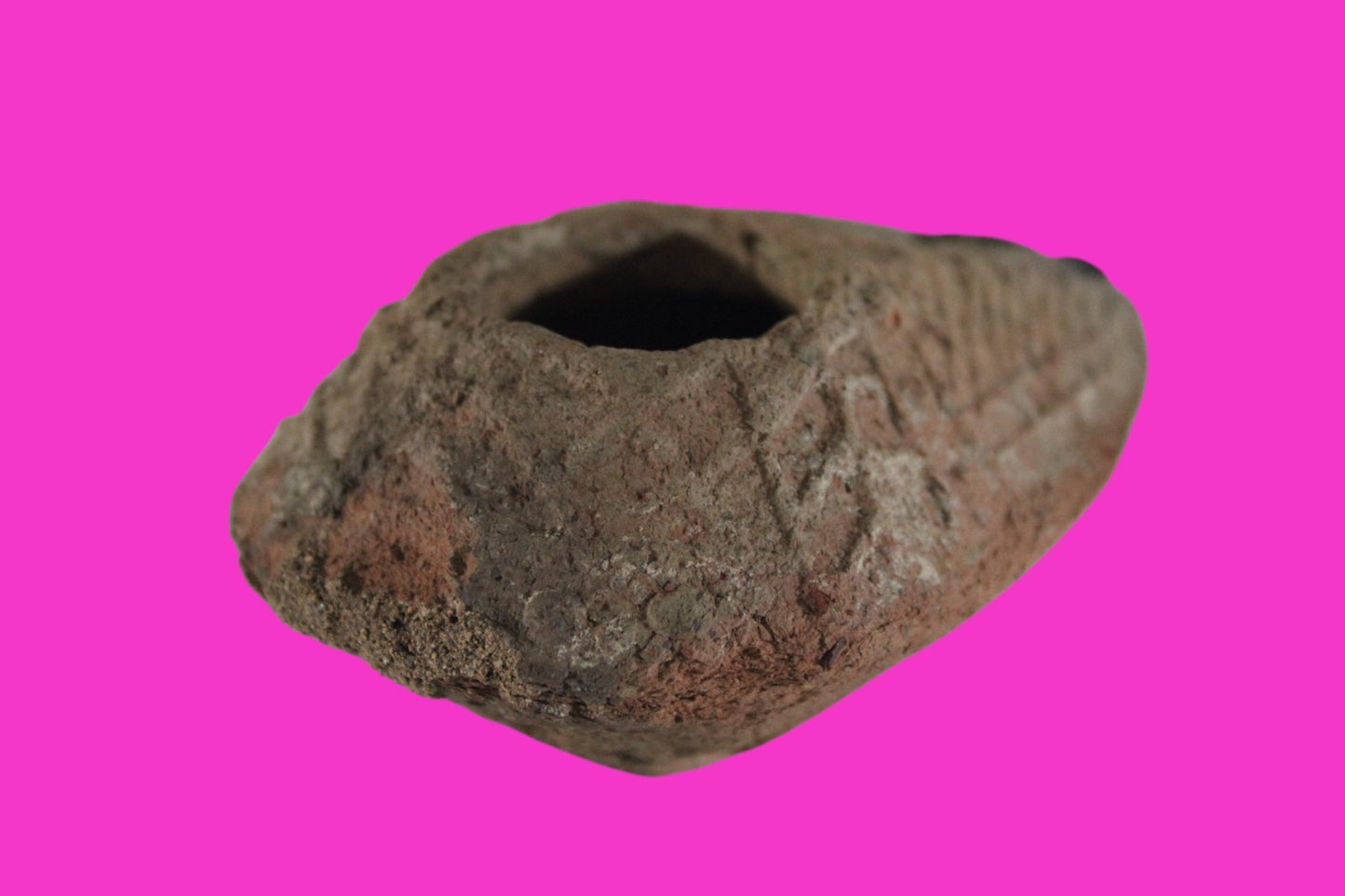 Oil Lamp Holy Land Ancient Artifact Jesus Christ Home Israel 300-600 AD COA 78