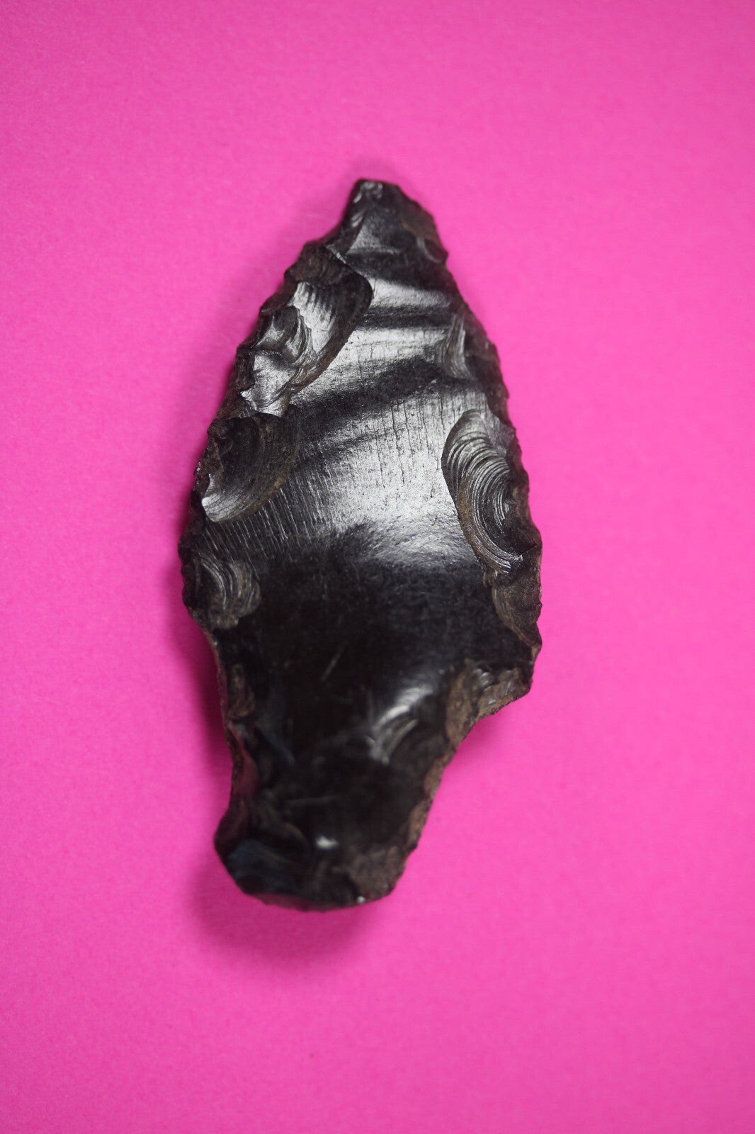 Pre Columbian Artifact Authentic Aztec Arrowhead Battle of Mexico City COA 50