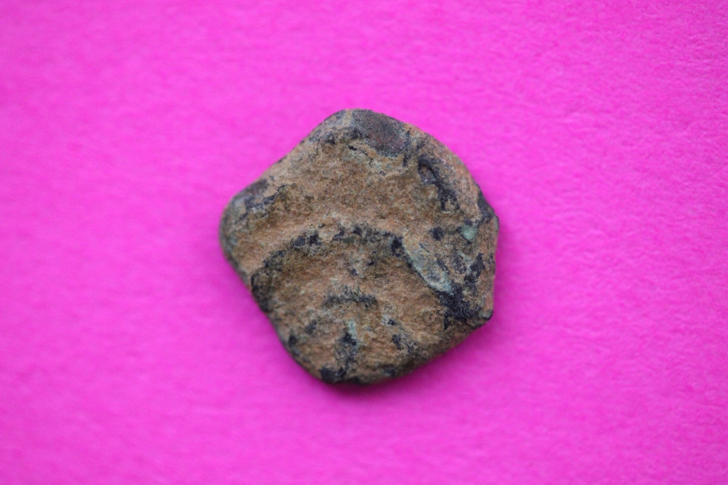 Widows Mite Coin Holy Land Artifact Free Display Frame Jesus Christ Lifetime 216