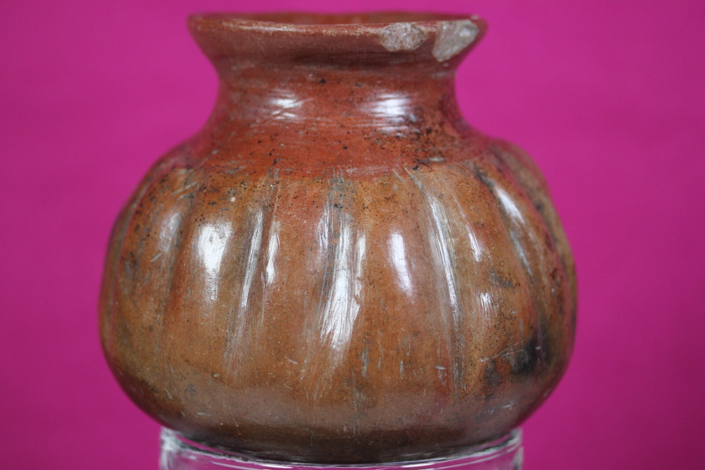 Pre Columbian Artifact Colima 300 BC-300 AD Gadrooned Jar Authentic COA J14
