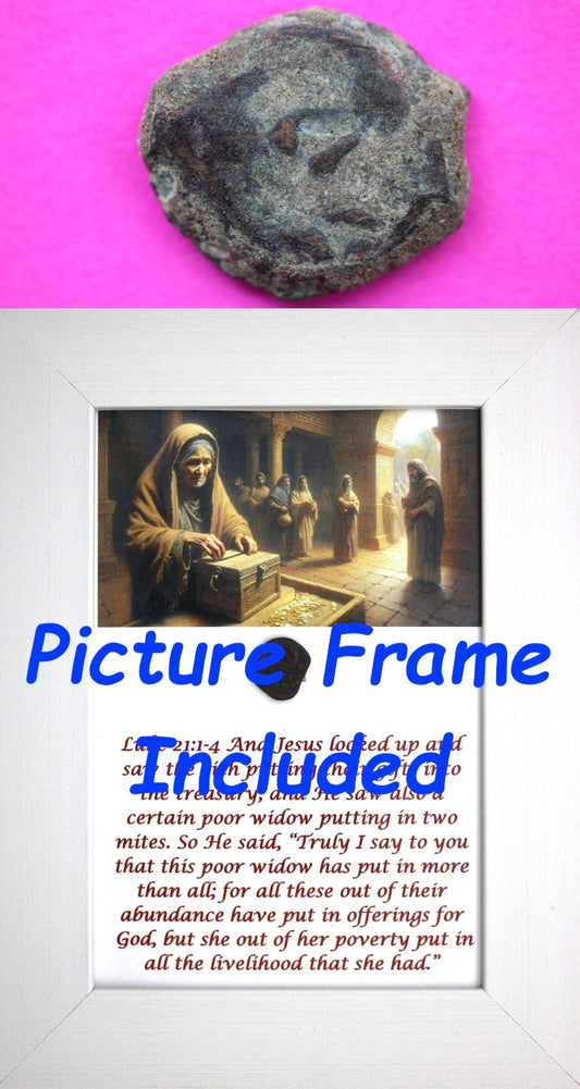 Widows Mite Coin Holy Land Artifact Free Display Frame Jesus Christ Lifetime 84