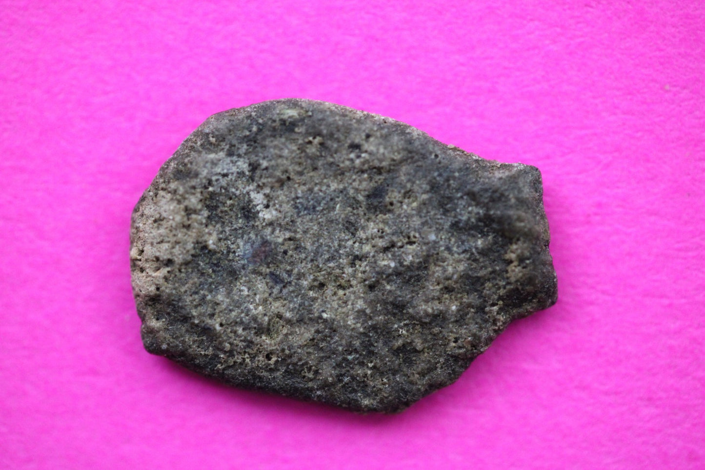 Widows Mite Coin Holy Land Artifact Free Display Frame Jesus Christ Lifetime 51