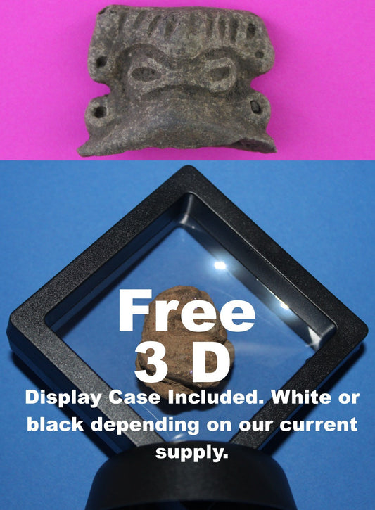 Puerto Rico Taino Pre Columbian Pottery Artifact FREE Display Case 1000AD COA 89