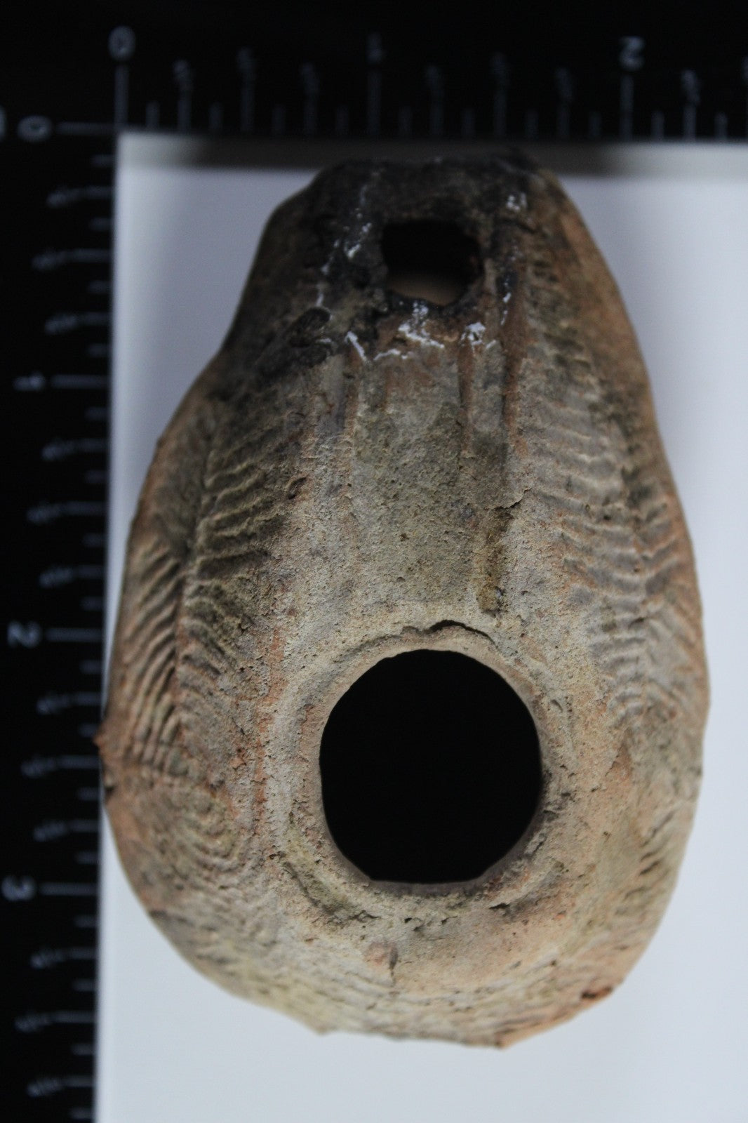 Oil Lamp Holy Land Ancient Artifact Jesus Christ Home Israel 300-600 AD COA 96