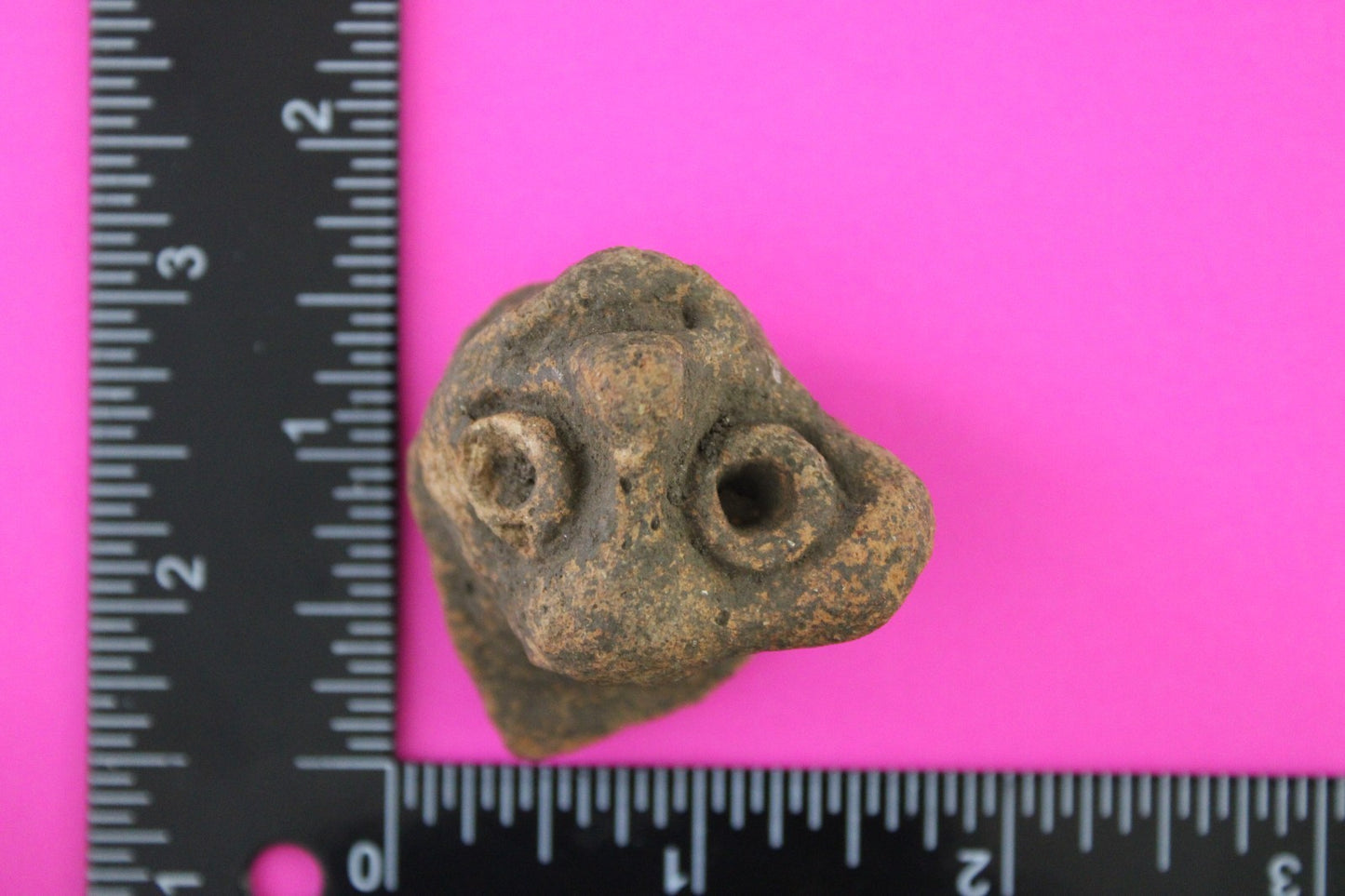 Puerto Rico Taino Pre Columbian Pottery Artifact FREE Display Case 1000AD COA 87