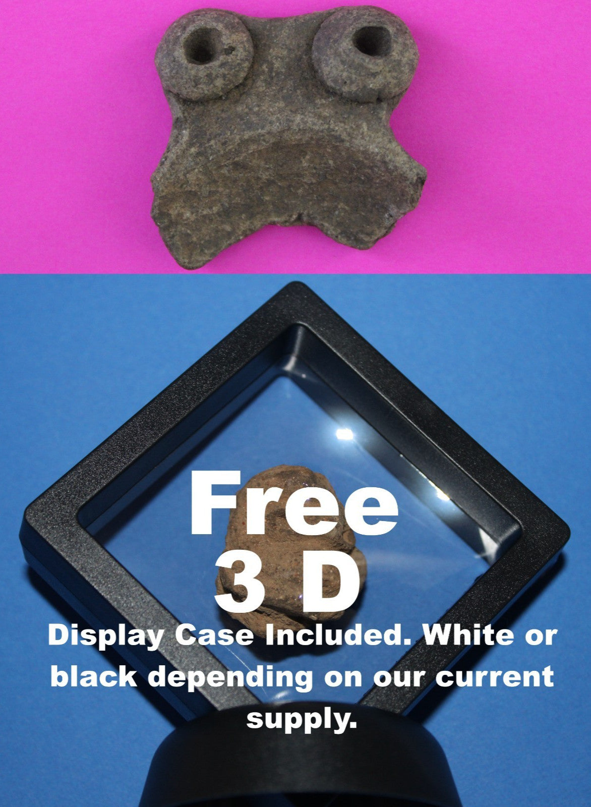 Puerto Rico Taino Pre Columbian Pottery Artifact FREE Display Case 1000AD COA 85