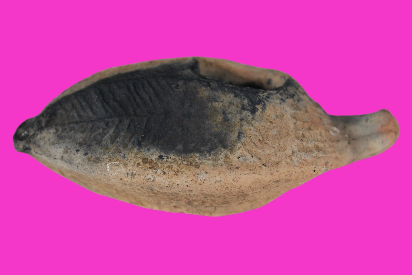 Oil Lamp Holy Land Ancient Artifact Jesus Christ Home Israel 300-600 AD COA 94