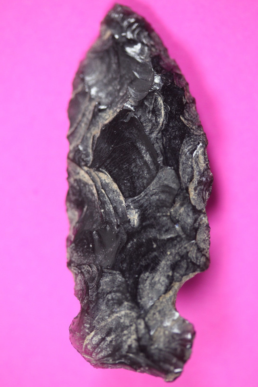 Authentic Pre Columbian Artifact Aztec Arrowhead Battle of Mexico City COA 16