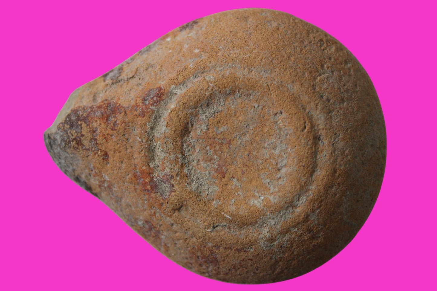 Ancient Holy Land Oil Lamp Artifact Jesus Christ Homeland 100BC-400AD COA 17