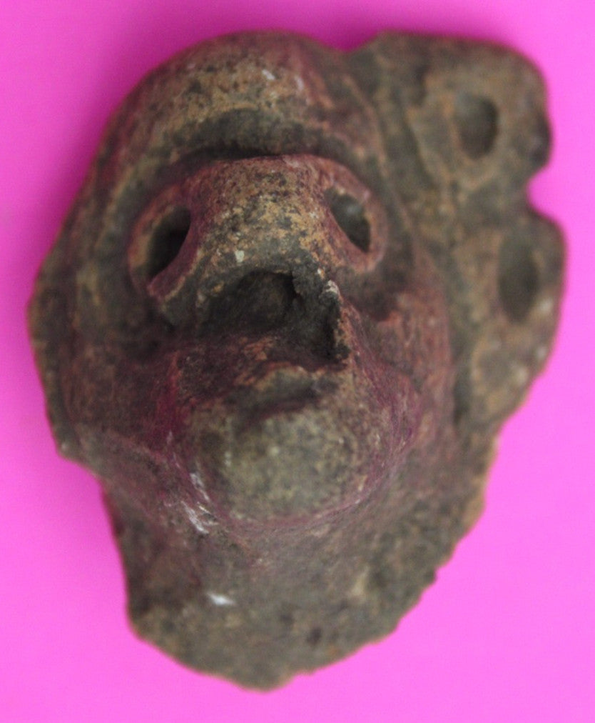 Puerto Rico Taino Pre Columbian Pottery Artifact FREE Display Case 1000AD COA 11