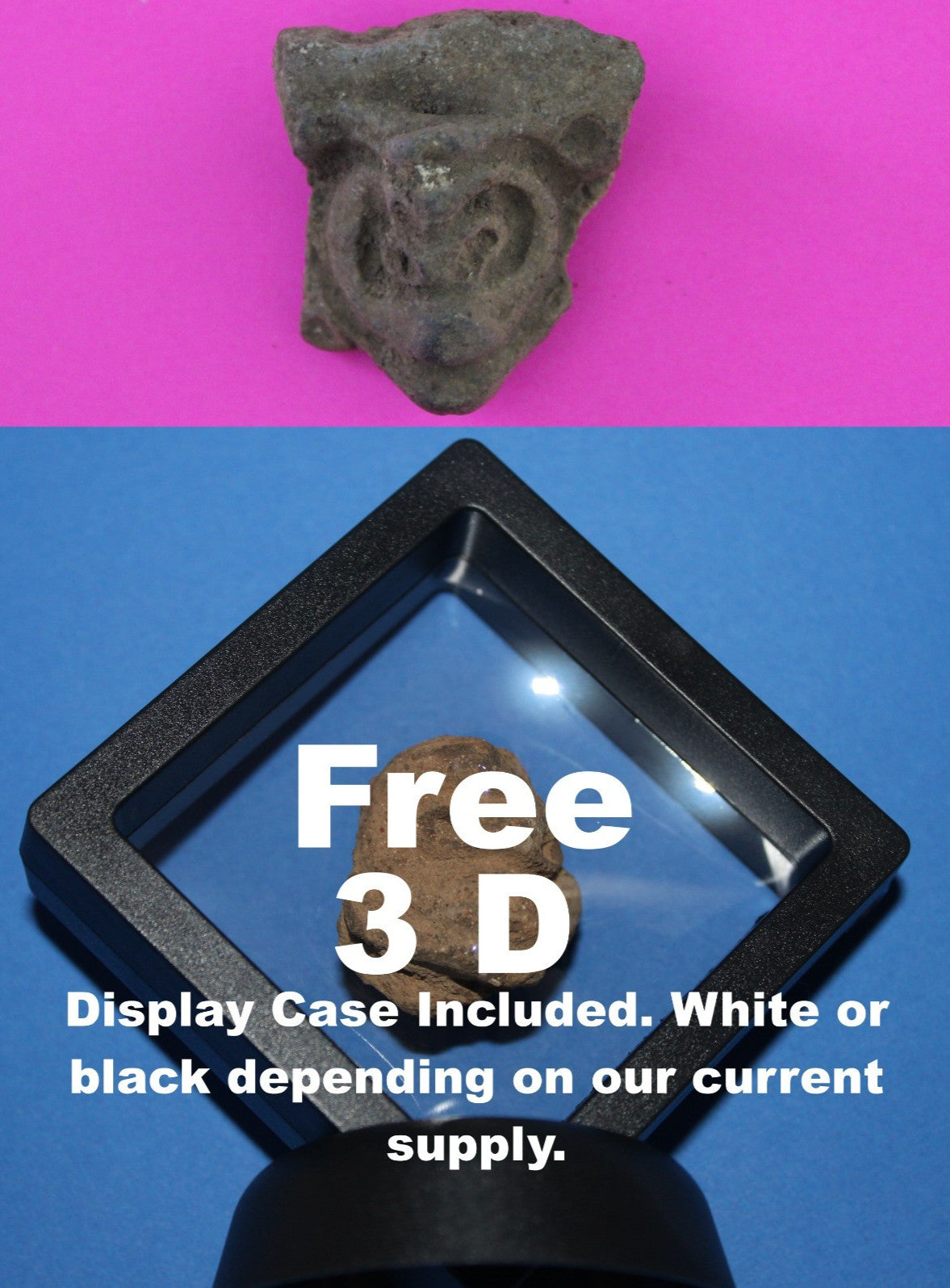 Puerto Rico Taino Pre Columbian Pottery Artifact FREE Display Case 1000AD COA 65