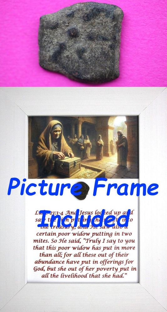 Widows Mite Coin Holy Land Artifact Free Display Frame Jesus Christ Lifetime 137