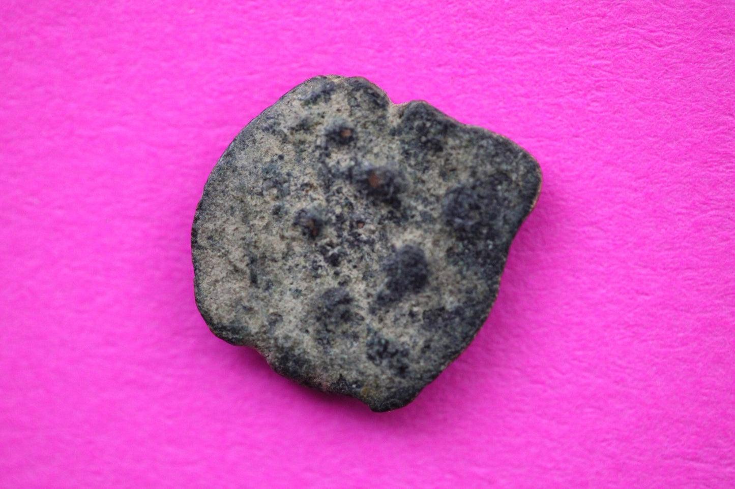 Widows Mite Coin Holy Land Artifact Free Display Frame Jesus Christ Lifetime 40