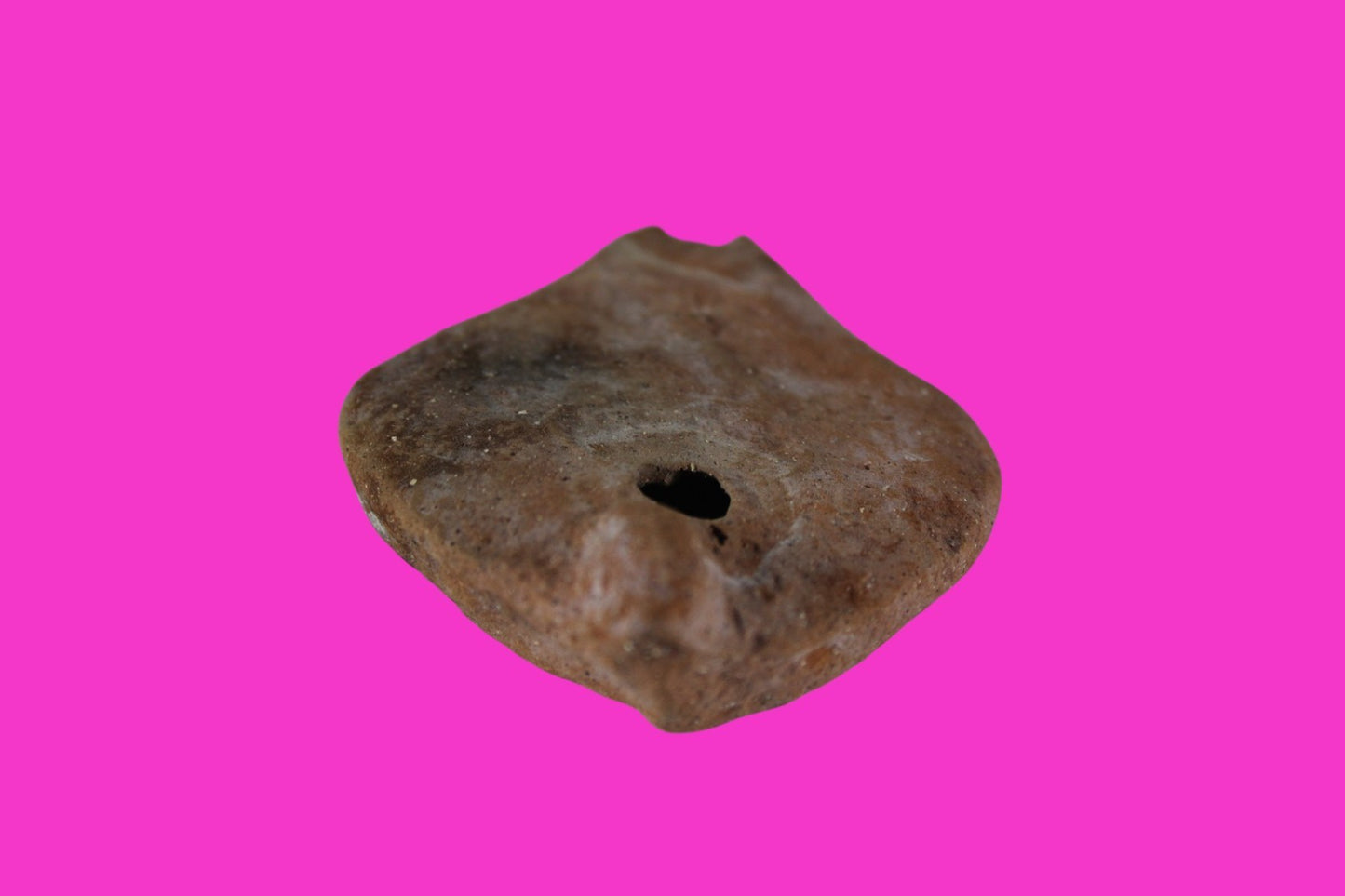 Ancient Holy Land Oil Lamp Artifact Jesus Christ Homeland 100BC-200AD COA 46