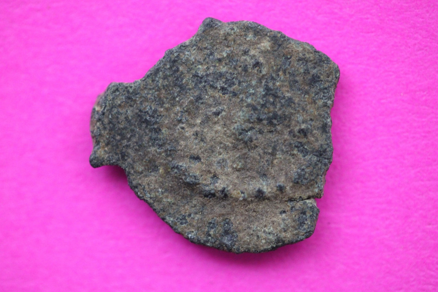 Widows Mite Coin Holy Land Artifact Free Display Frame Jesus Christ Lifetime 71