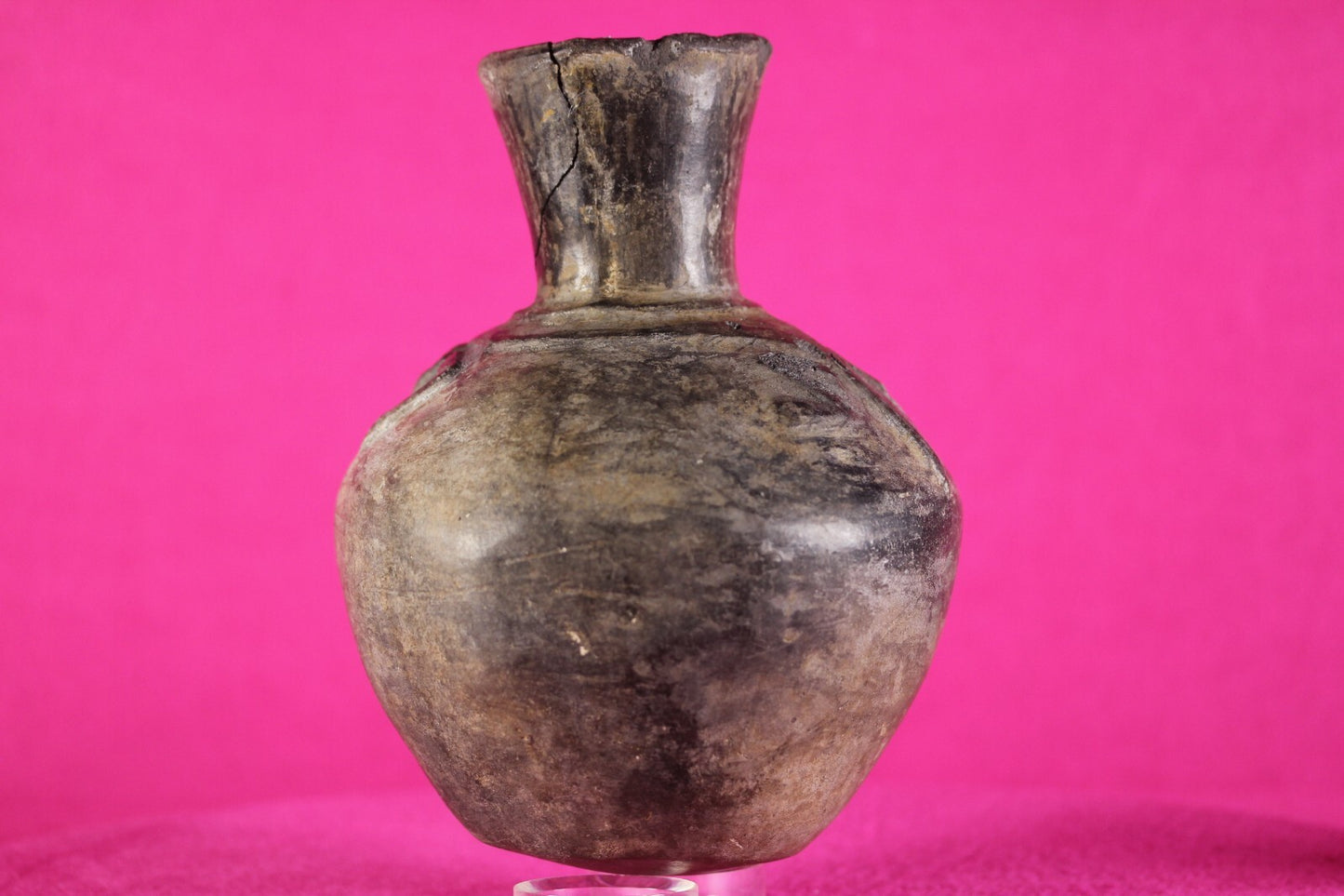 Pre Columbian Artifact Authentic Moche Frog Pottery Jar 100-800 AD Peru COA J60