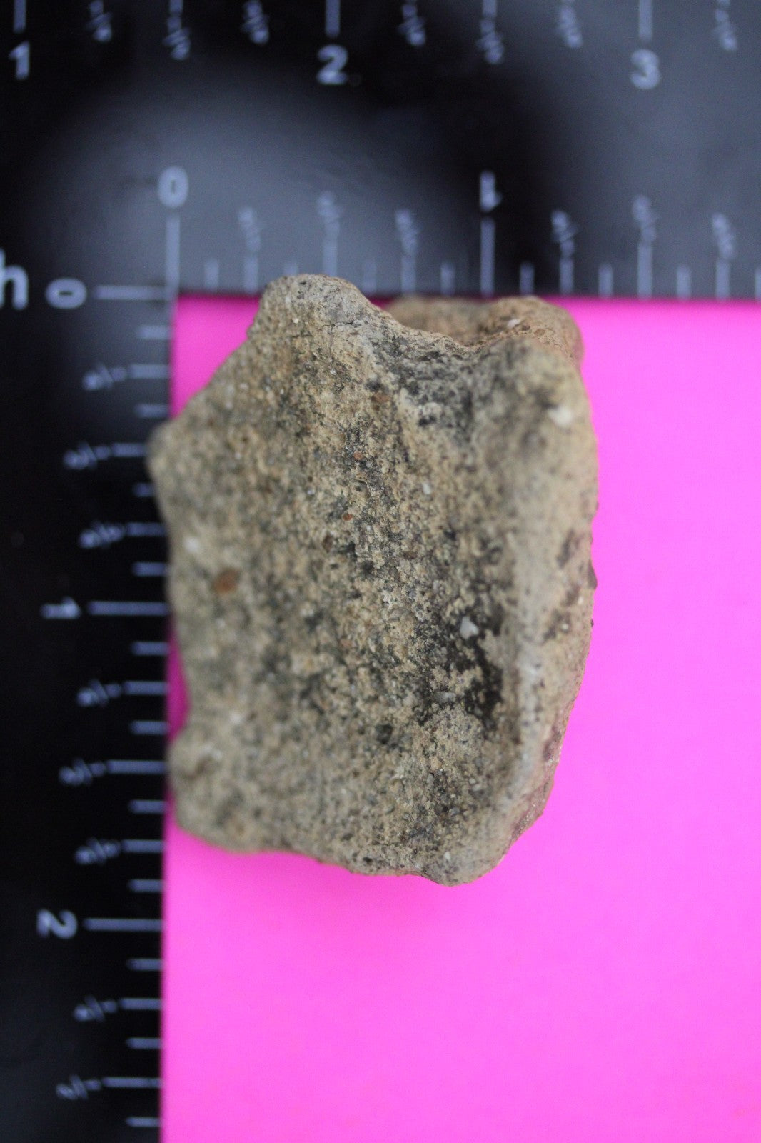 Puerto Rico Taino Pre Columbian Pottery Artifact FREE Display Case 1000AD COA 27