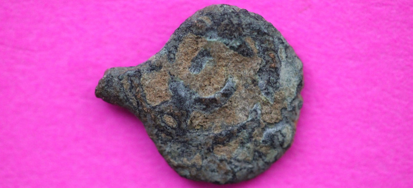 Widows Mite Coin Holy Land Artifact Free Display Frame Jesus Christ Lifetime 53