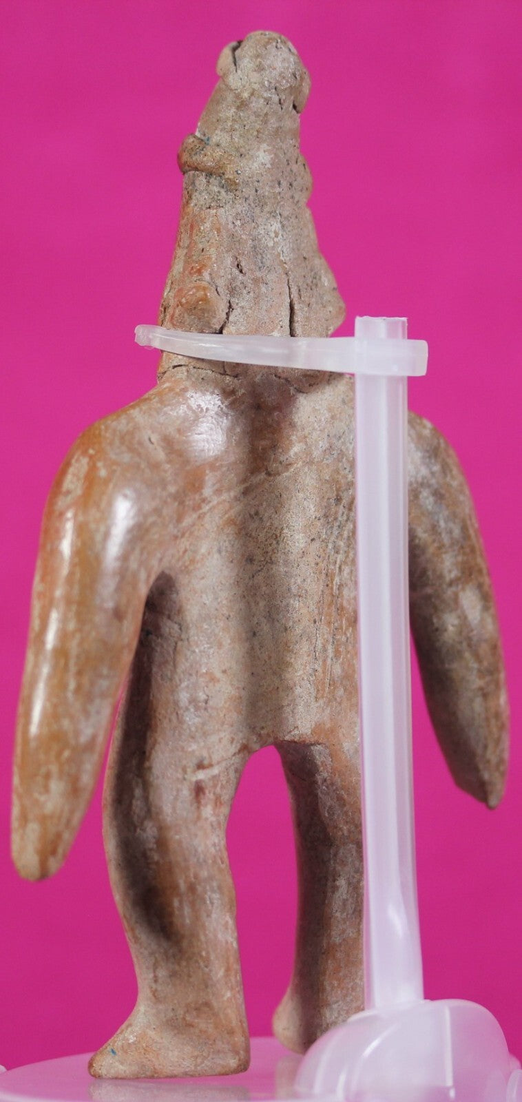 Pre Columbian Artifact Colima Shaman Mexico 300BC-300AD Certified COA J12