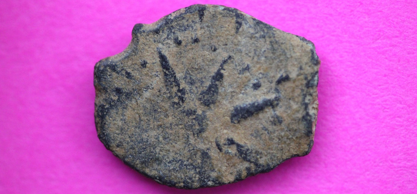 Widows Mite Coin Holy Land Artifact Free Display Frame Jesus Christ Lifetime 215