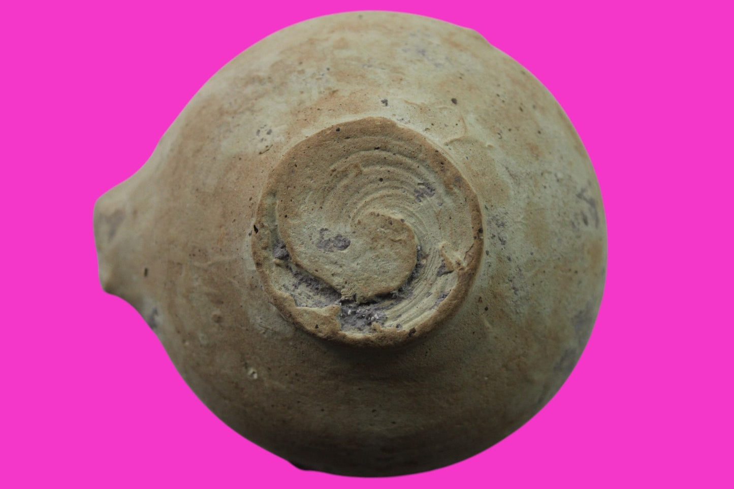 Ancient Holy Land Oil Lamp Artifact Home of Jesus Christ 100 BC-200 AD COA J151