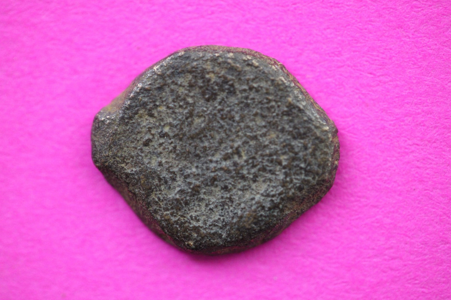 Widows Mite Coin Holy Land Artifact Free Display Frame Jesus Christ Lifetime 126