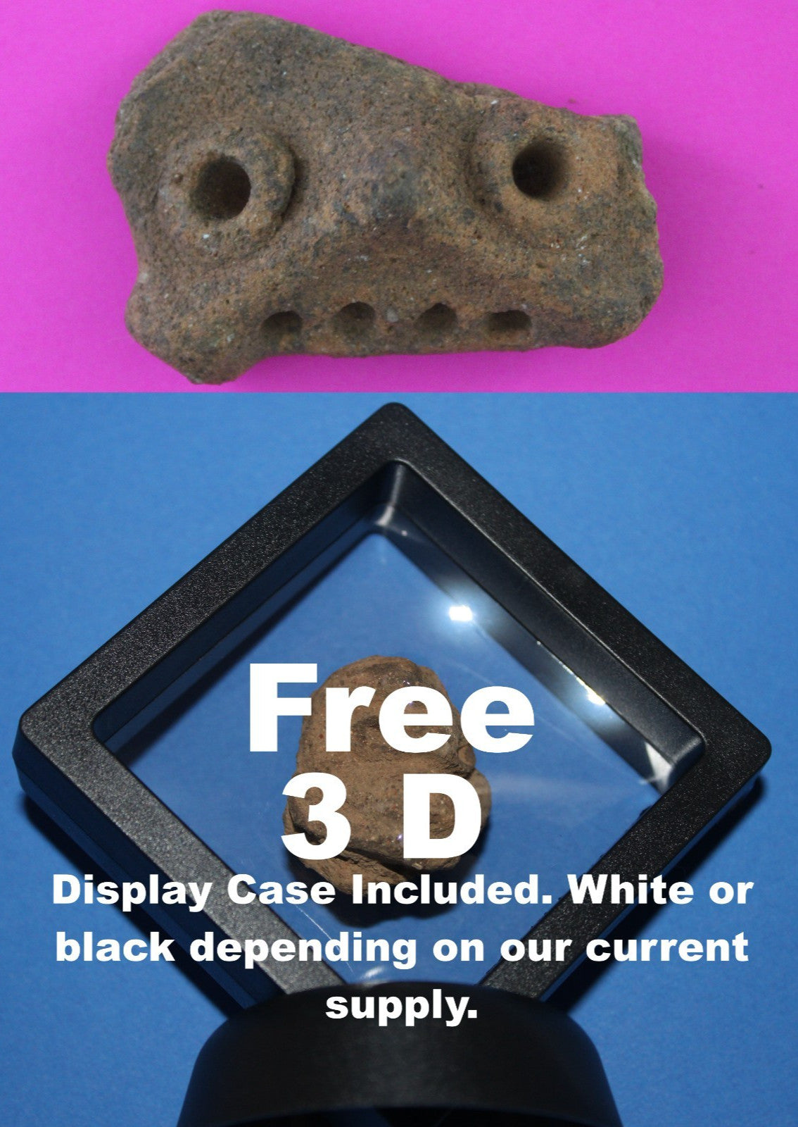 Puerto Rico Taino Pre Columbian Pottery Artifact FREE Display Case 1000AD COA 77