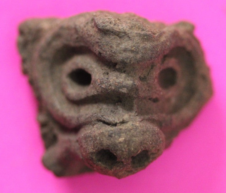 Puerto Rico Taino Precolumbian Pottery Artifact FREE Display Case 1000AD COA 51