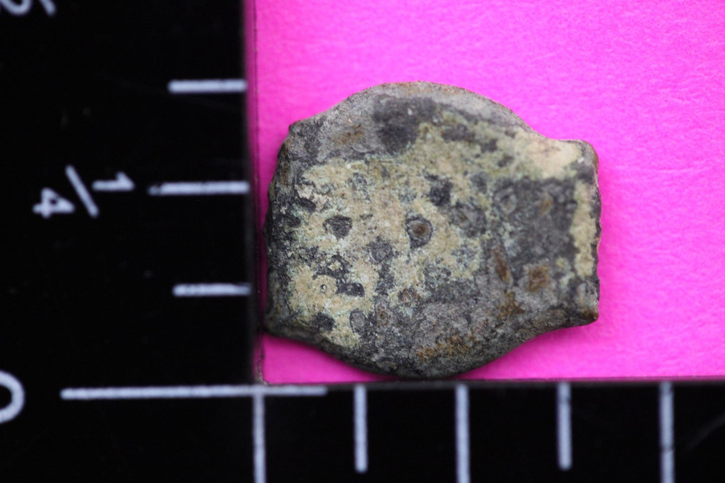 Widows Mite Coin Holy Land Artifact Free Display Frame Jesus Christ Lifetime 156