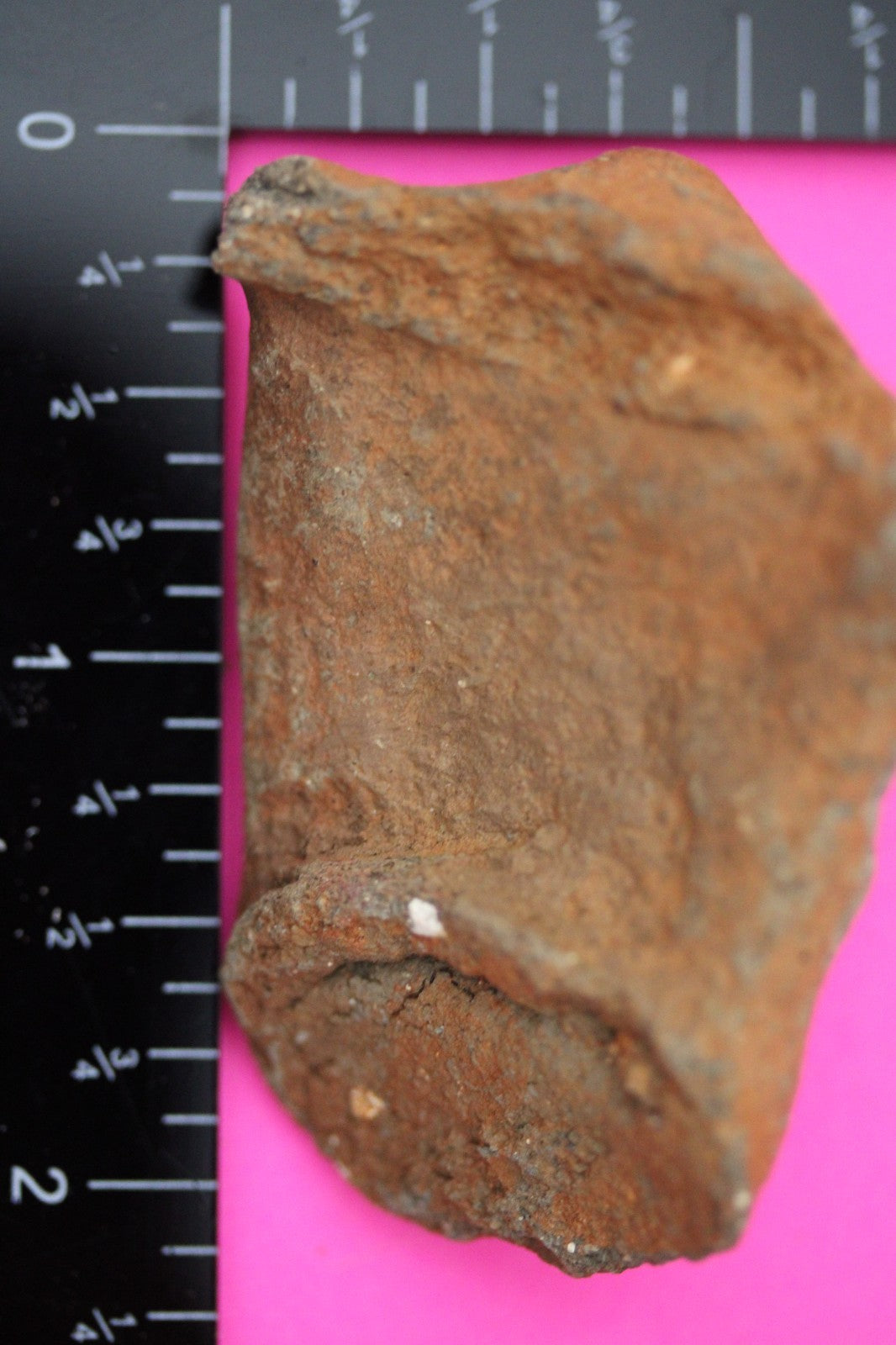 Puerto Rico Taino Pre Columbian Pottery Artifact FREE Display Case 1000AD COA 01