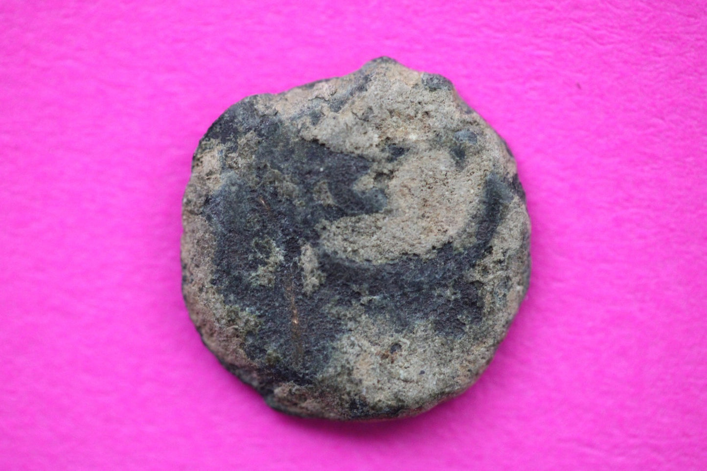 Widows Mite Coin Holy Land Artifact Free Display Frame Jesus Christ Lifetime 35