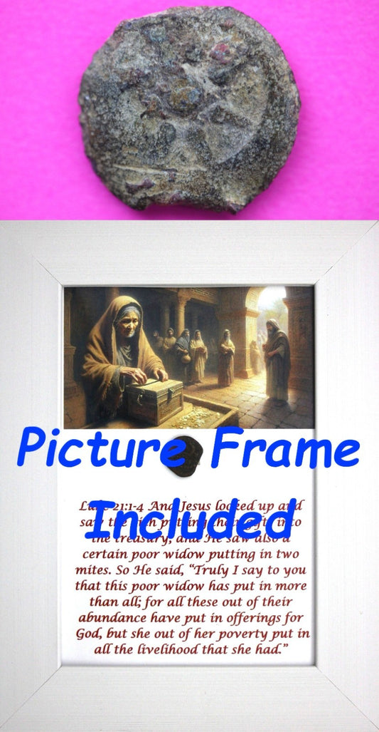 Widows Mite Coin Holy Land Artifact Free Display Frame Jesus Christ Lifetime 132