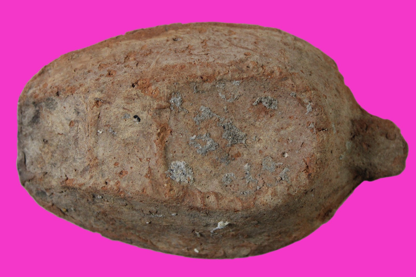 Oil Lamp Holy Land Ancient Artifact Jesus Christ Home Israel 300-600 AD COA 114