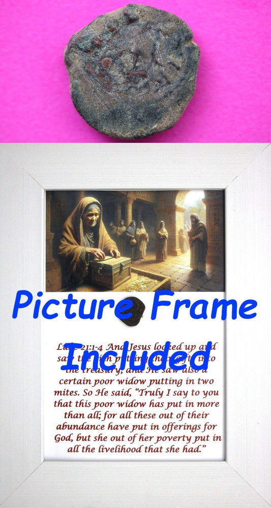 Widows Mite Coin Holy Land Artifact Free Display Frame Jesus Christ Lifetime 220