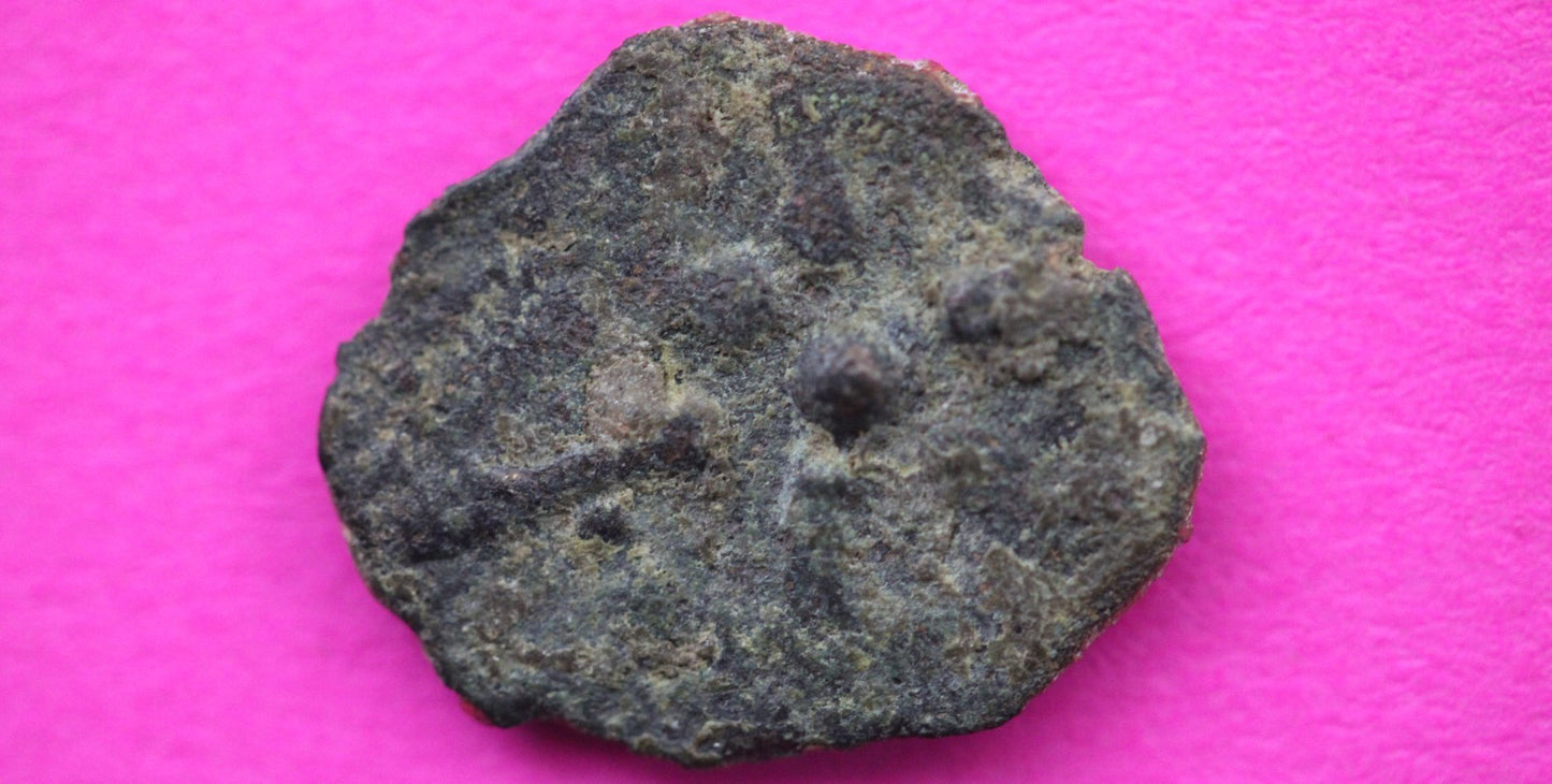 Widows Mite Coin Holy Land Artifact Free Display Frame Jesus Christ Lifetime 127