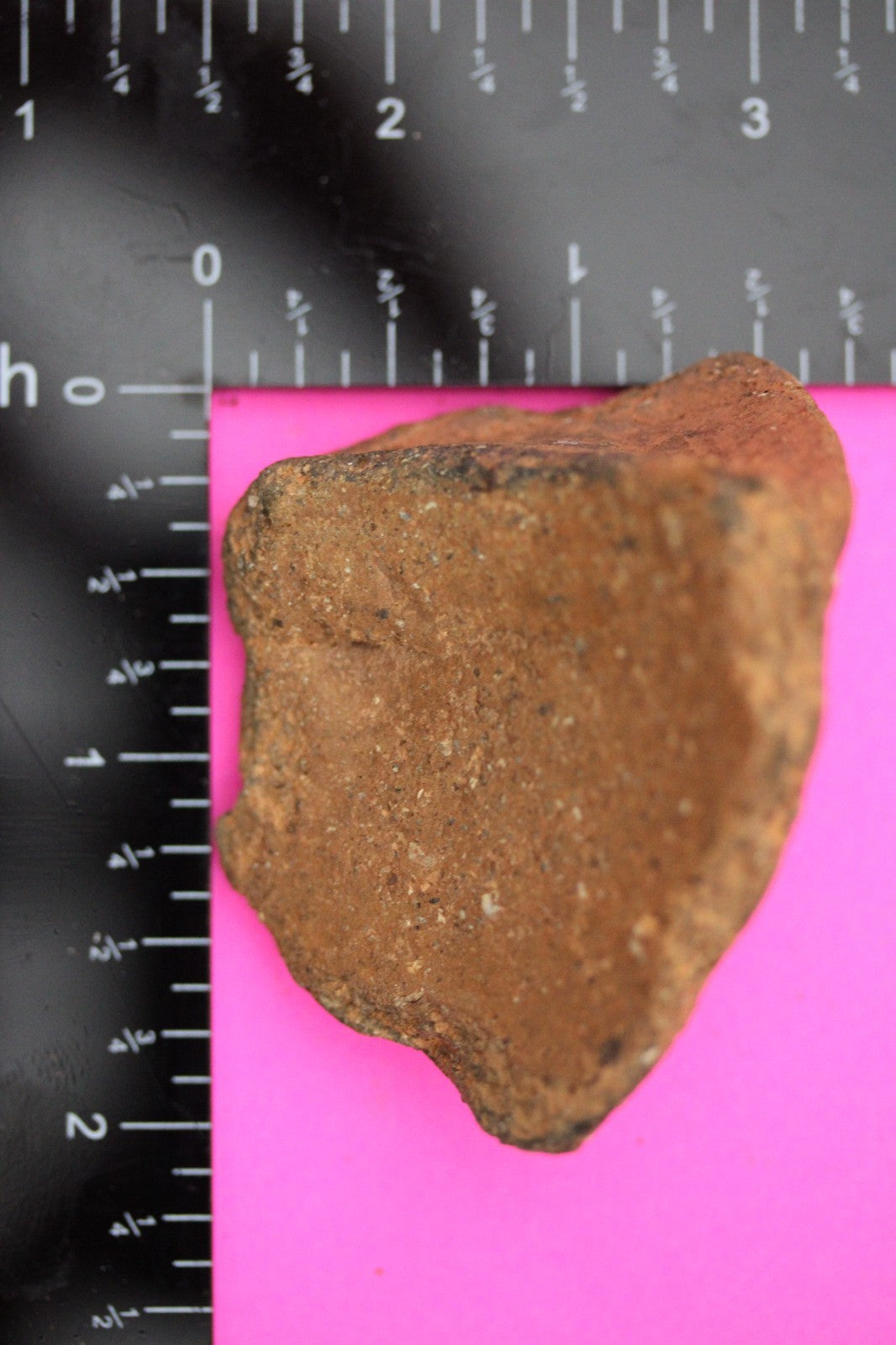 Puerto Rico Taino Pre Columbian Pottery Artifact FREE Display Case 1000AD COA 16